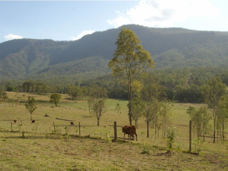 47 Main Camp Creek Road, Thornton QLD 4341