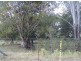 47 Main Camp Creek Road, Thornton QLD 4341