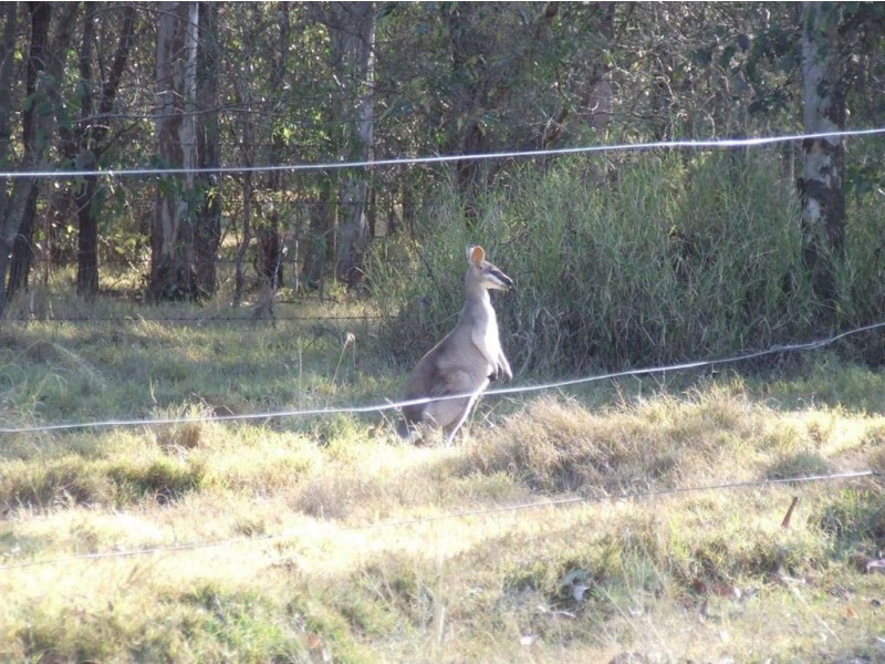 36 Staatz Quarry Road, Regency Downs QLD 4341