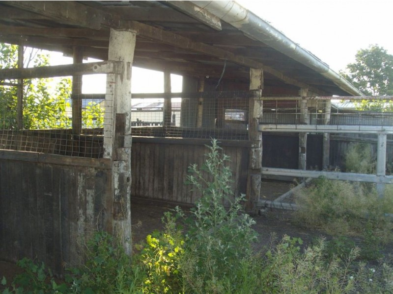 32B Davidson Street, Oakey QLD 4401