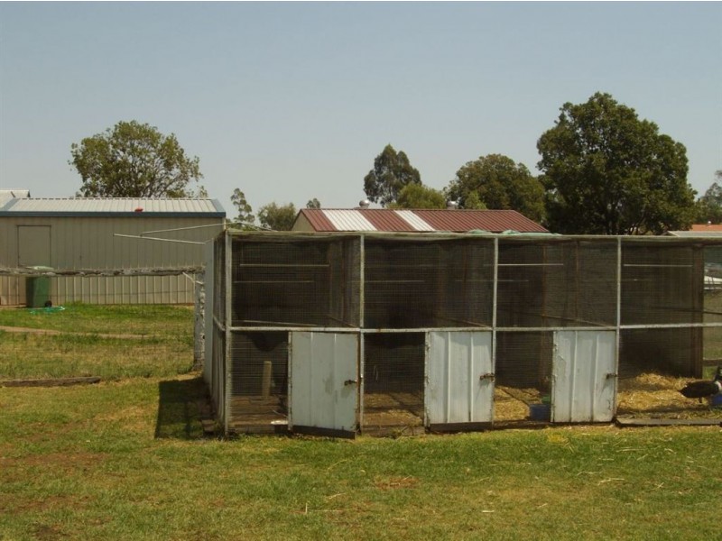 32 Davidson Street, Oakey QLD 4401