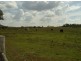 127 Arnold Road, Pittsworth QLD 4356