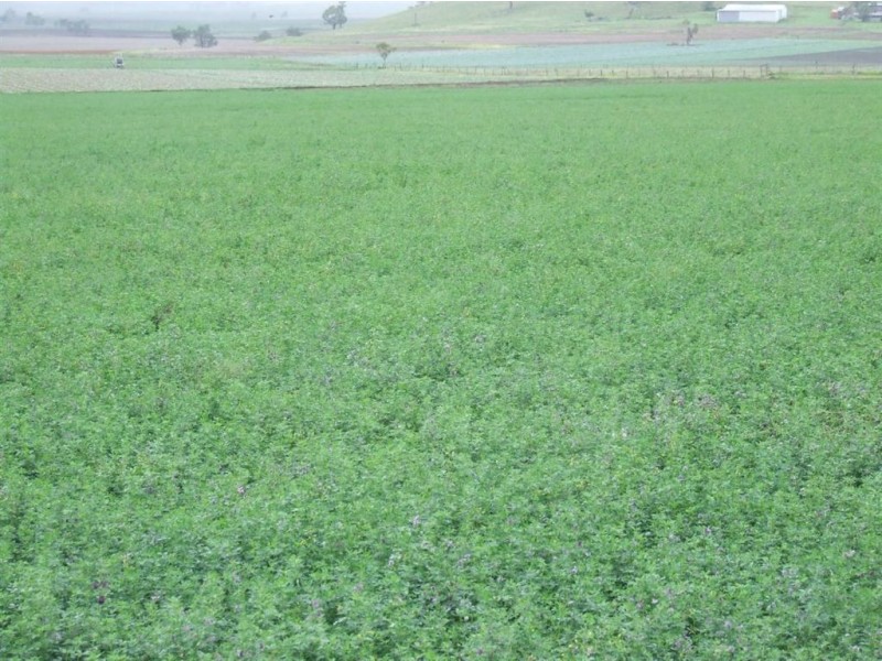 Lot 4 New England Highway, Cambooya QLD 4358