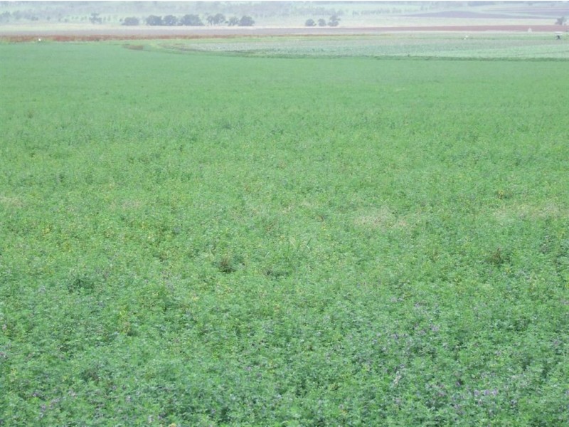 Lot 4 New England Highway, Cambooya QLD 4358