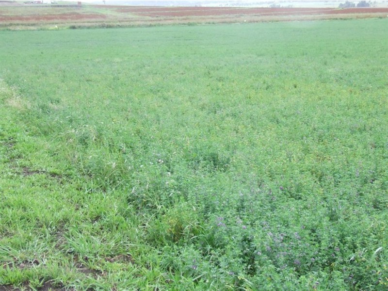 Lot 4 New England Highway, Cambooya QLD 4358