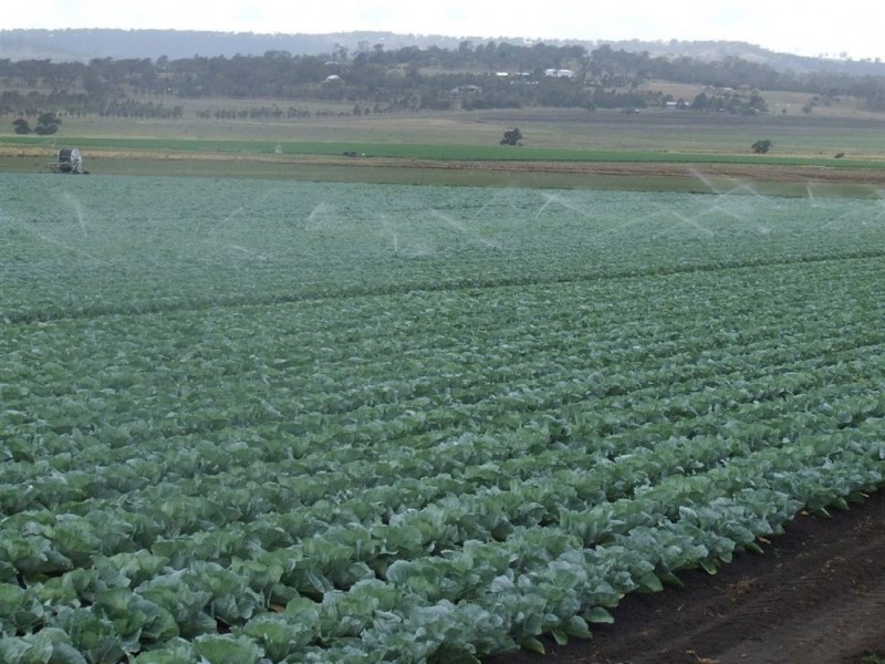 Lot 4 New England Highway, Cambooya QLD 4358