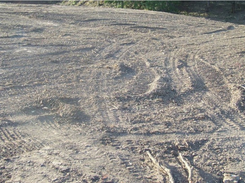 9 Biggs Road, Withcott QLD 4352