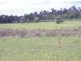 Lot 2 Warrego Highway, Kingsthorpe QLD 4400