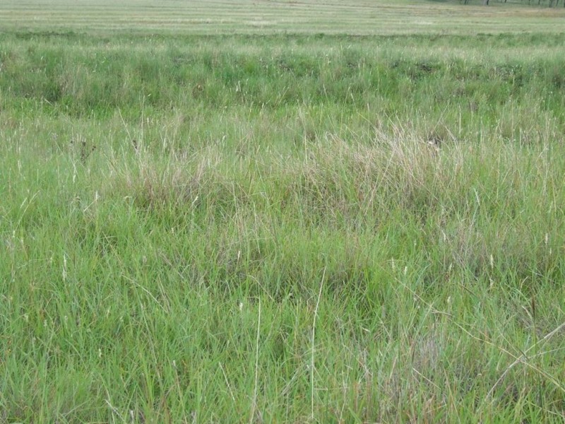 L2 Allens Road, Greenmount East QLD 4359