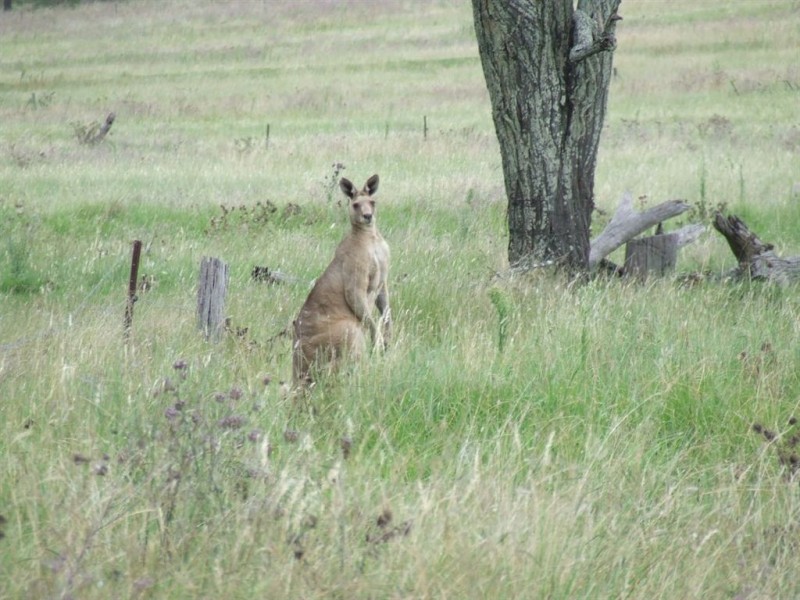 L2 Allens Road, Greenmount East QLD 4359