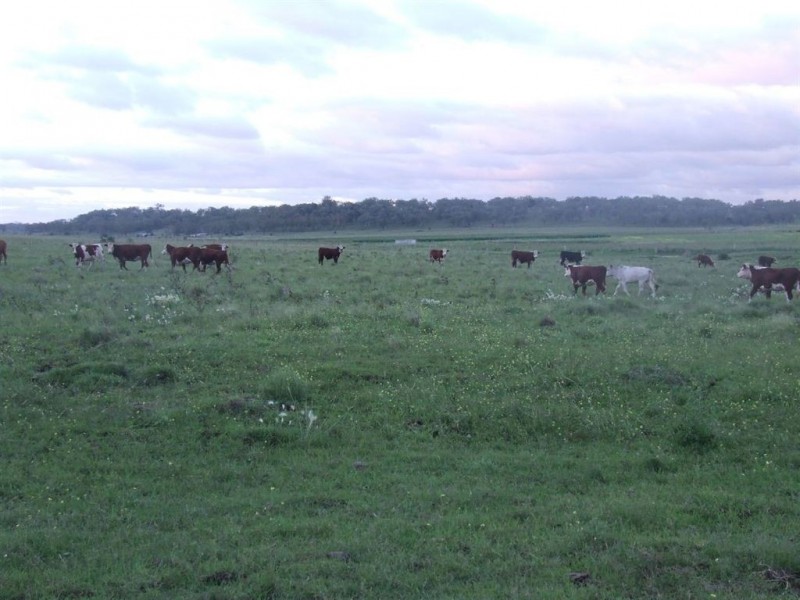 343 Crosshill-Aubigny Road, Biddeston QLD 4401