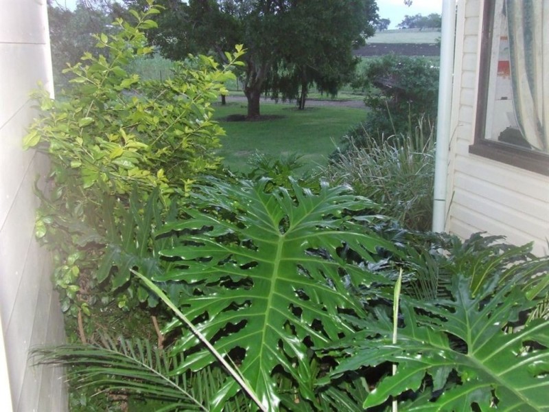 343 Crosshill-Aubigny Road, Biddeston QLD 4401