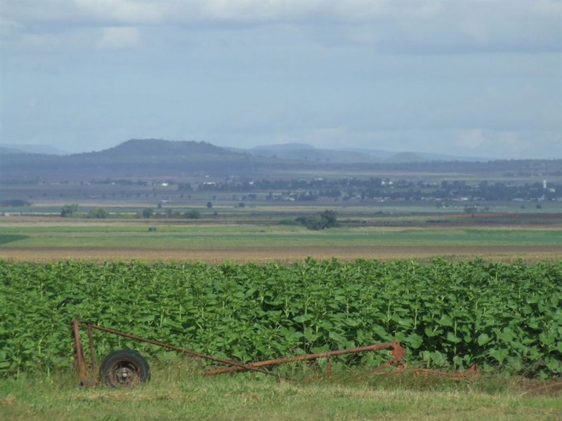 98 Venz Road, Nobby QLD 4360