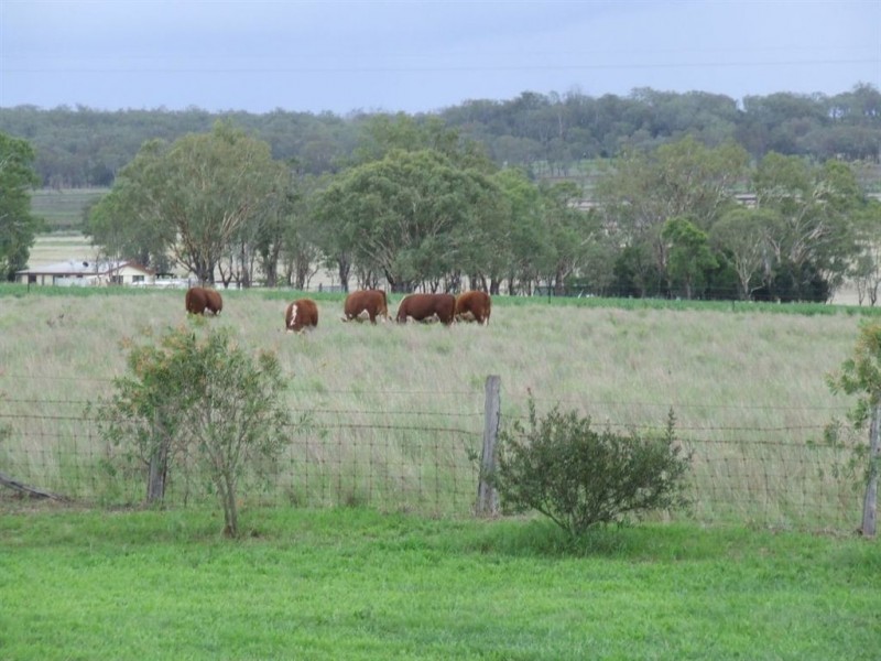 98 Venz Road, Nobby QLD 4360