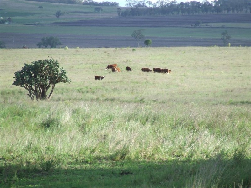 98 Venz Road, Nobby QLD 4360