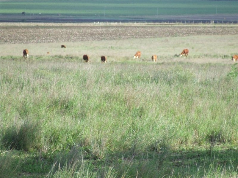 98 Venz Road, Nobby QLD 4360