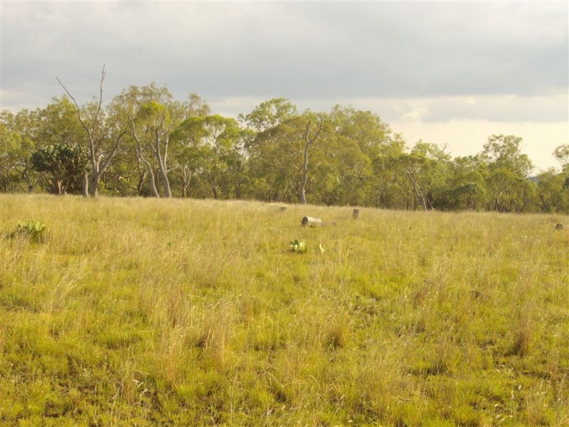 L1 Ted Mengel Road, Nobby QLD 4360