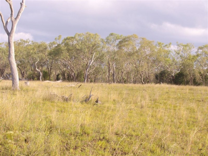 L1 Ted Mengel Road, Nobby QLD 4360