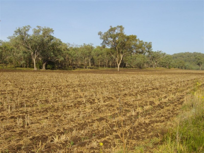 L1 Ted Mengel Road, Nobby QLD 4360