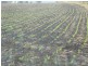 L1 Ted Mengel Road, Nobby QLD 4360