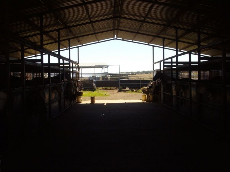 1486 Cecil Plains Road, Wellcamp QLD 4350