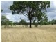 Stonehenge QLD 4357