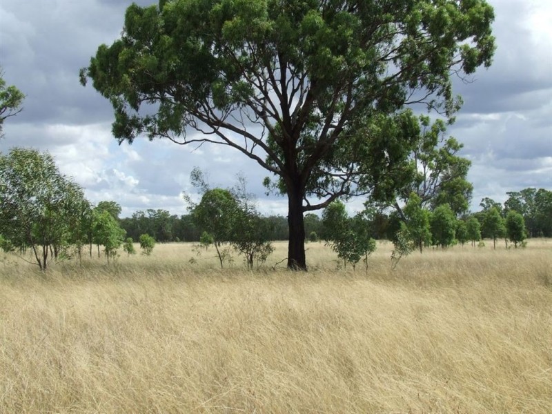Stonehenge QLD 4357
