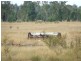 Stonehenge QLD 4357