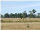 Stonehenge QLD 4357