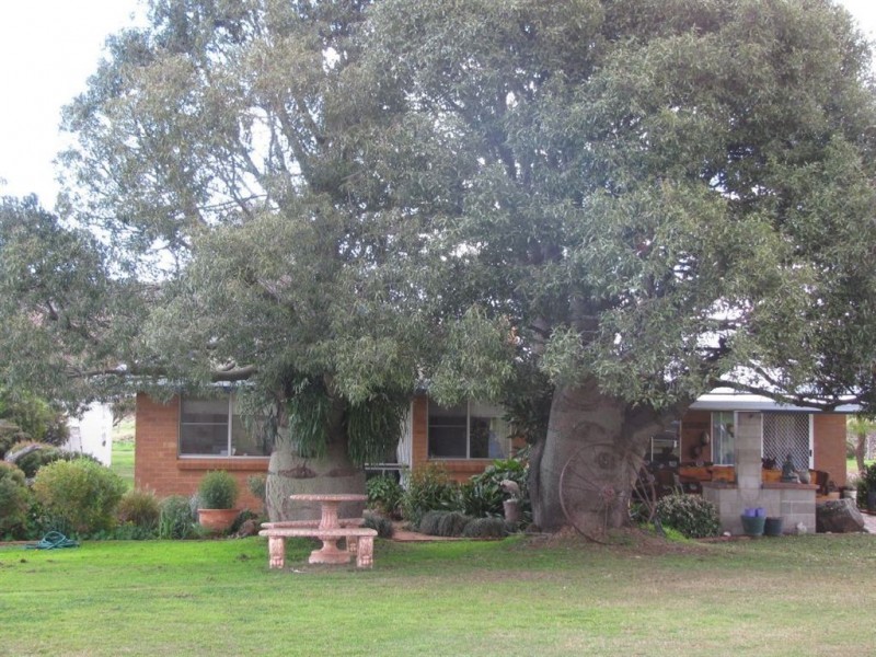158 Budgee Road, Budgee QLD 4359