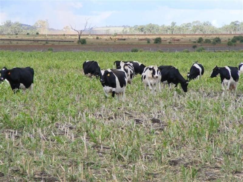 1225 Malakoff Road, Kaimkillenbun QLD 4406