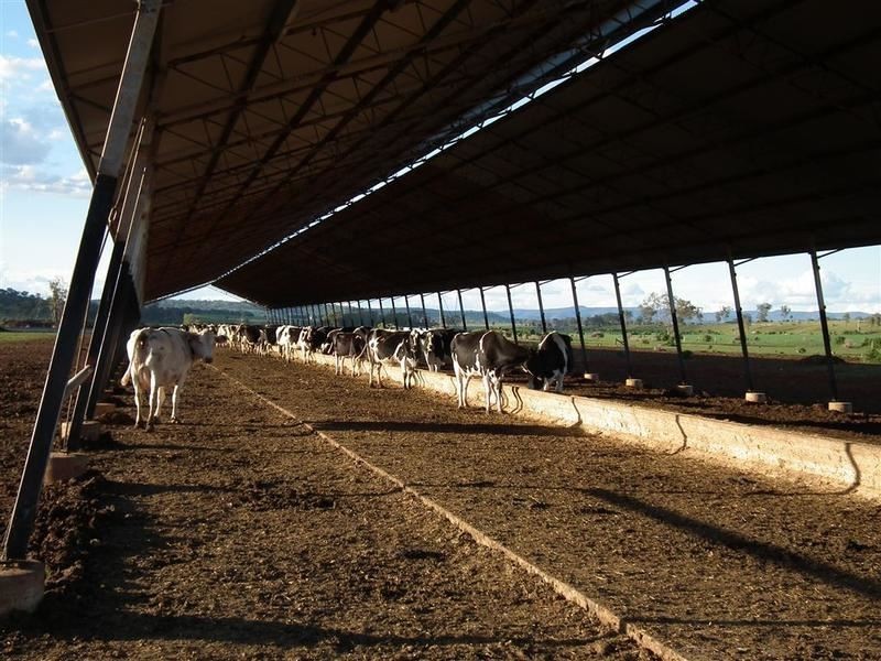 1225 Malakoff Road, Kaimkillenbun QLD 4406