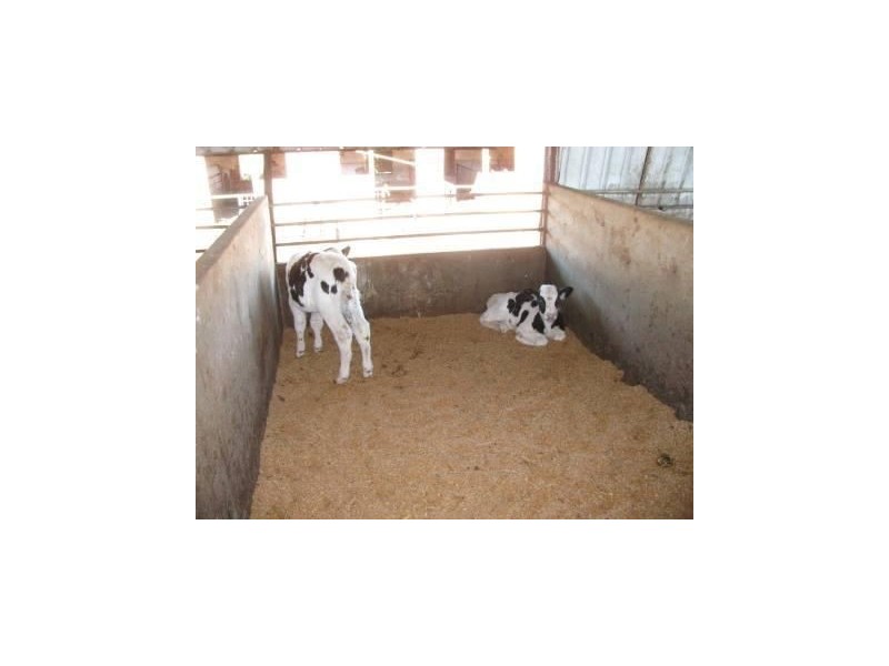 1225 Malakoff Road, Kaimkillenbun QLD 4406