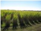 70-72 Gross Road, Woongoolba QLD 4207