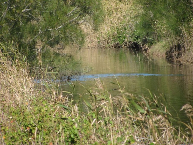 70-72 Gross Road, Woongoolba QLD 4207