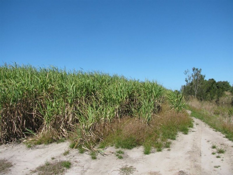 70-72 Gross Road, Woongoolba QLD 4207