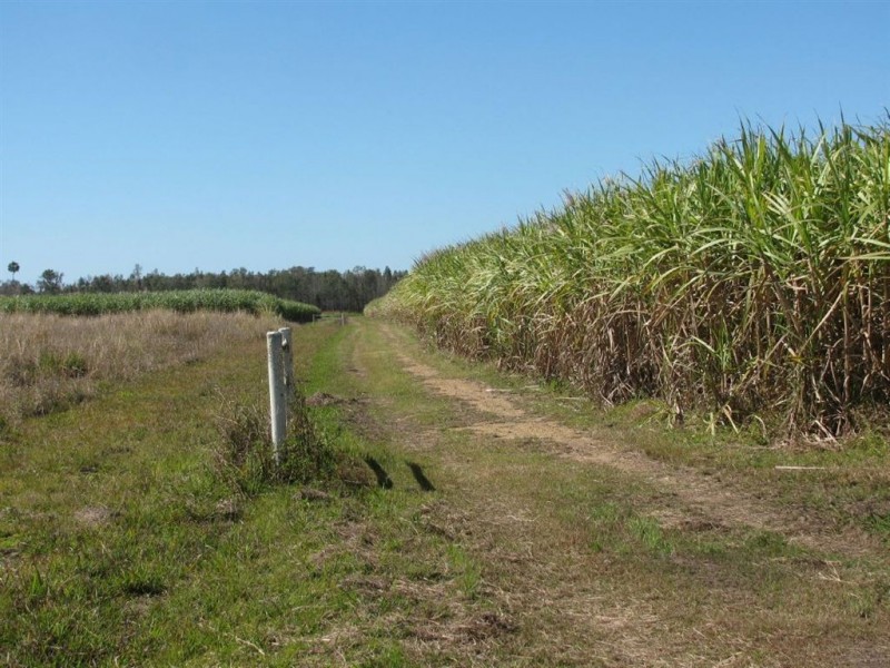 70-72 Gross Road, Woongoolba QLD 4207
