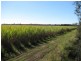 70-72 Gross Road, Woongoolba QLD 4207