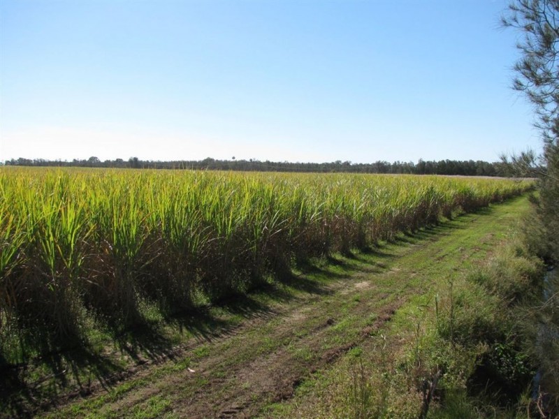70-72 Gross Road, Woongoolba QLD 4207