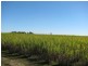 70-72 Gross Road, Woongoolba QLD 4207