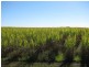 70-72 Gross Road, Woongoolba QLD 4207
