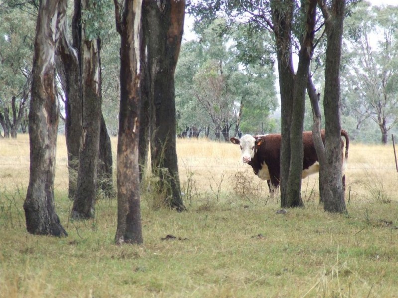 Lot 27 F Drew Road, Biddeston QLD 4401
