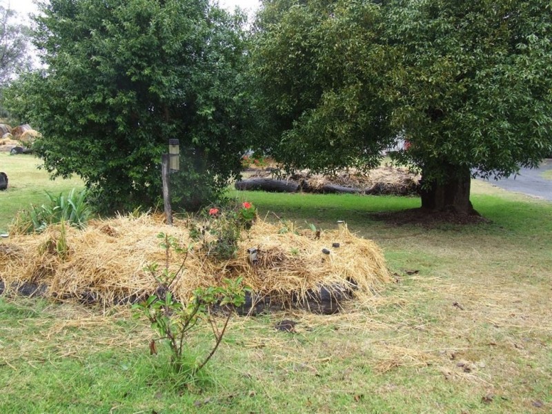 Lot 27 F Drew Road, Biddeston QLD 4401