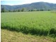 1318 Neurum Road, Kilcoy QLD 4515