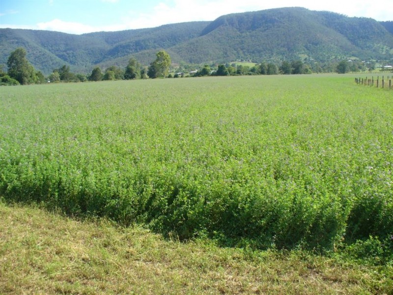 1318 Neurum Road, Kilcoy QLD 4515