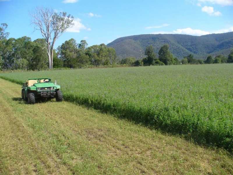 1318 Neurum Road, Kilcoy QLD 4515