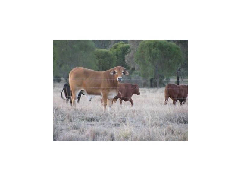 421 Chances Plains Road, Chinchilla QLD 4413