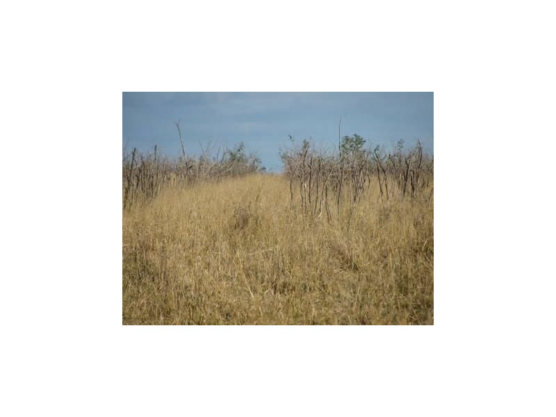 421 Chances Plains Road, Chinchilla QLD 4413