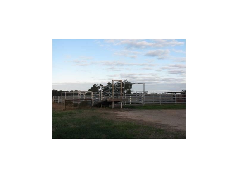 421 Chances Plains Road, Chinchilla QLD 4413