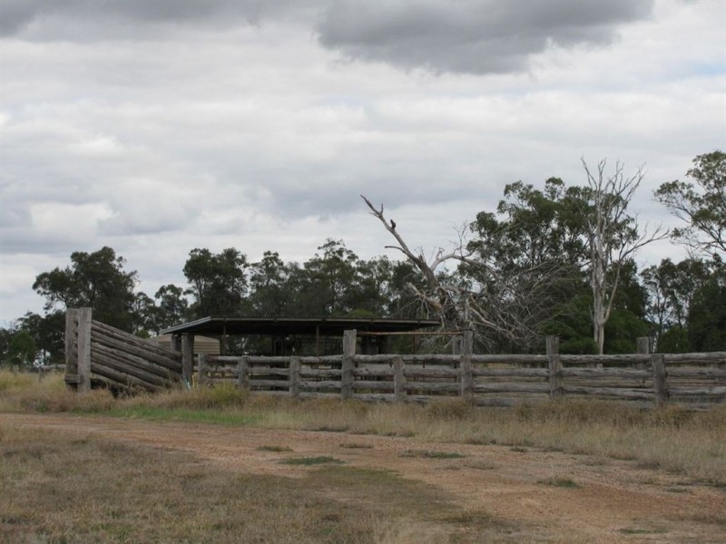 - Woodlands and Karreel, Condamine QLD 4416